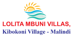 Sinno 1 Excellence-06 (1)